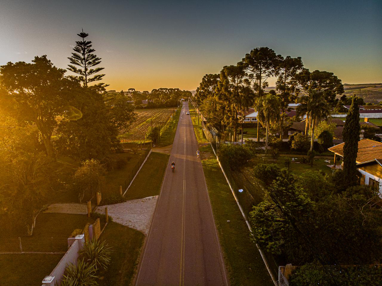 City Tour Jardins da Avenida dos Pioneiros