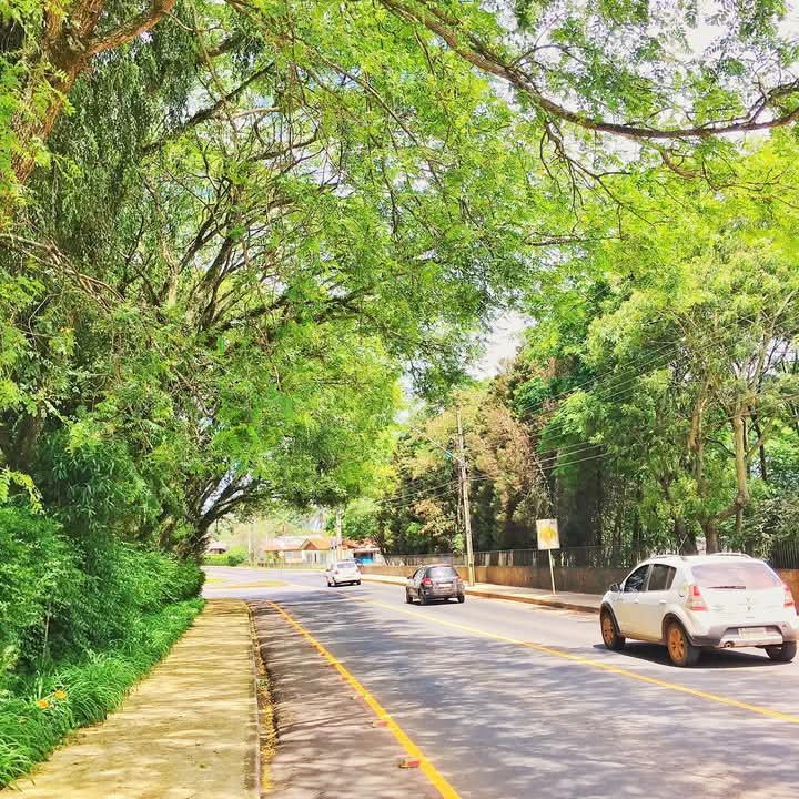 Caminhar pela Avenida dos Pioneiros